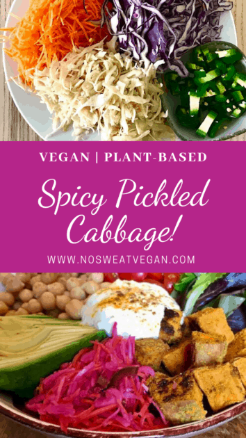 Spicy Pickled Cabbage Pin