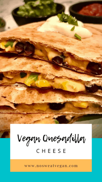 vegan quesadilla cheese pin