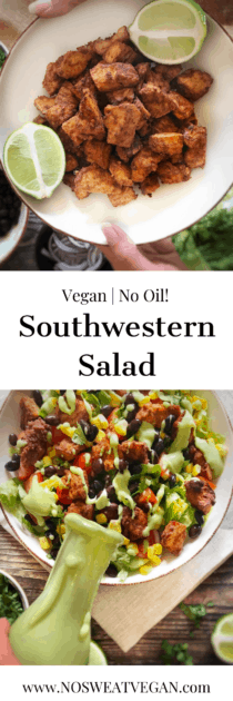 Vegan southwestern salad pin.