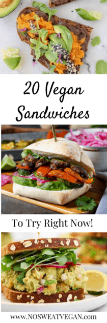 vegan sandwich pin