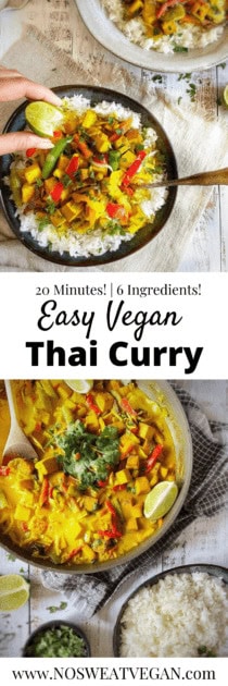 vegan Thai Curry pin