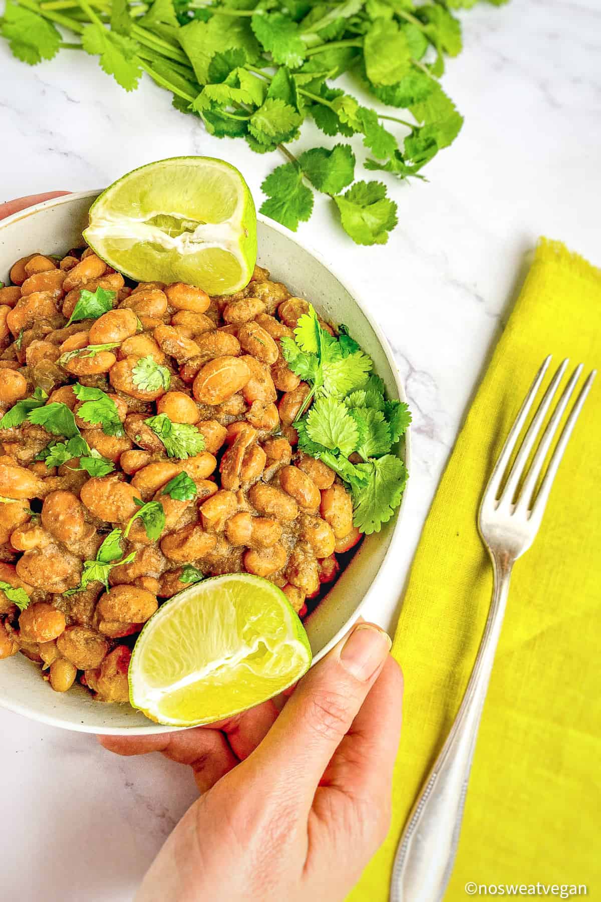 Bowl of instant pot pinto beans.