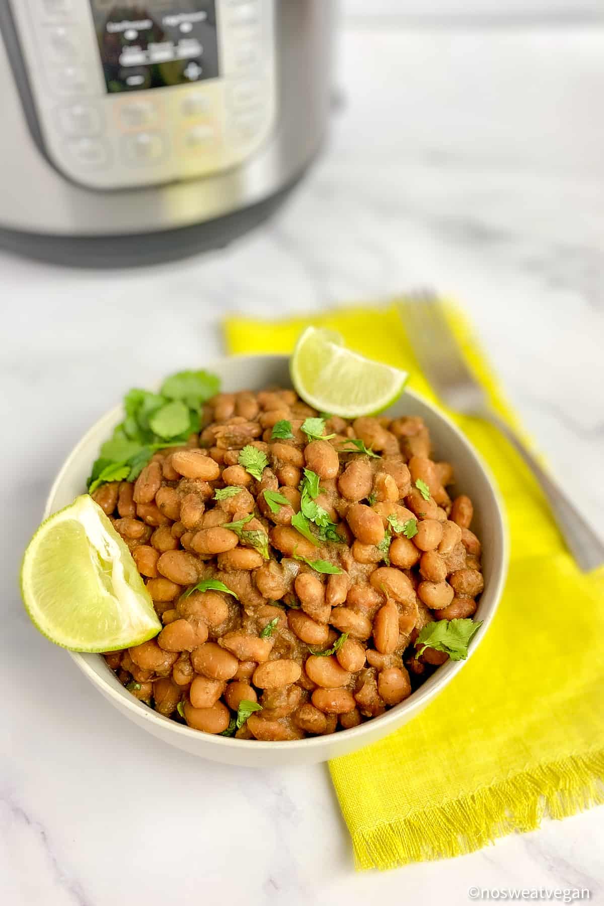 Bowl of instant pot pinto beans.