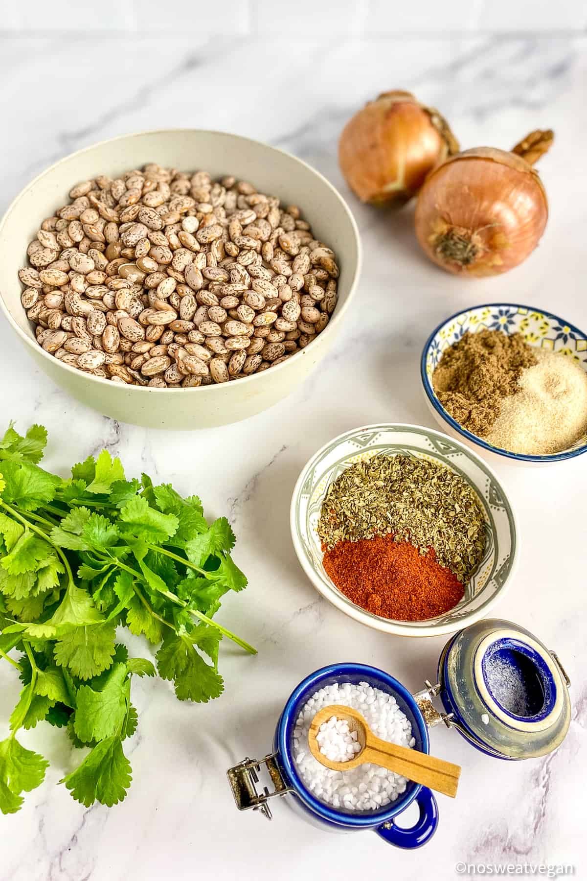 ingredients for instant pot pinto beans.