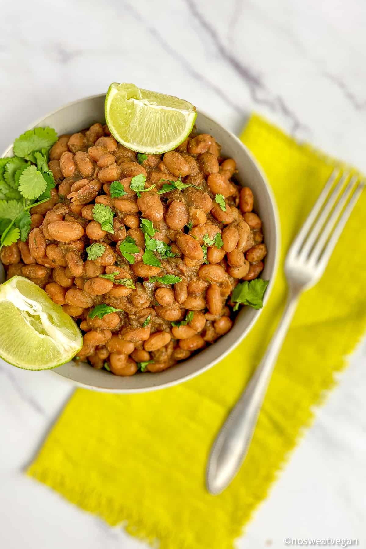 Bowl of instant pot pinto beans.