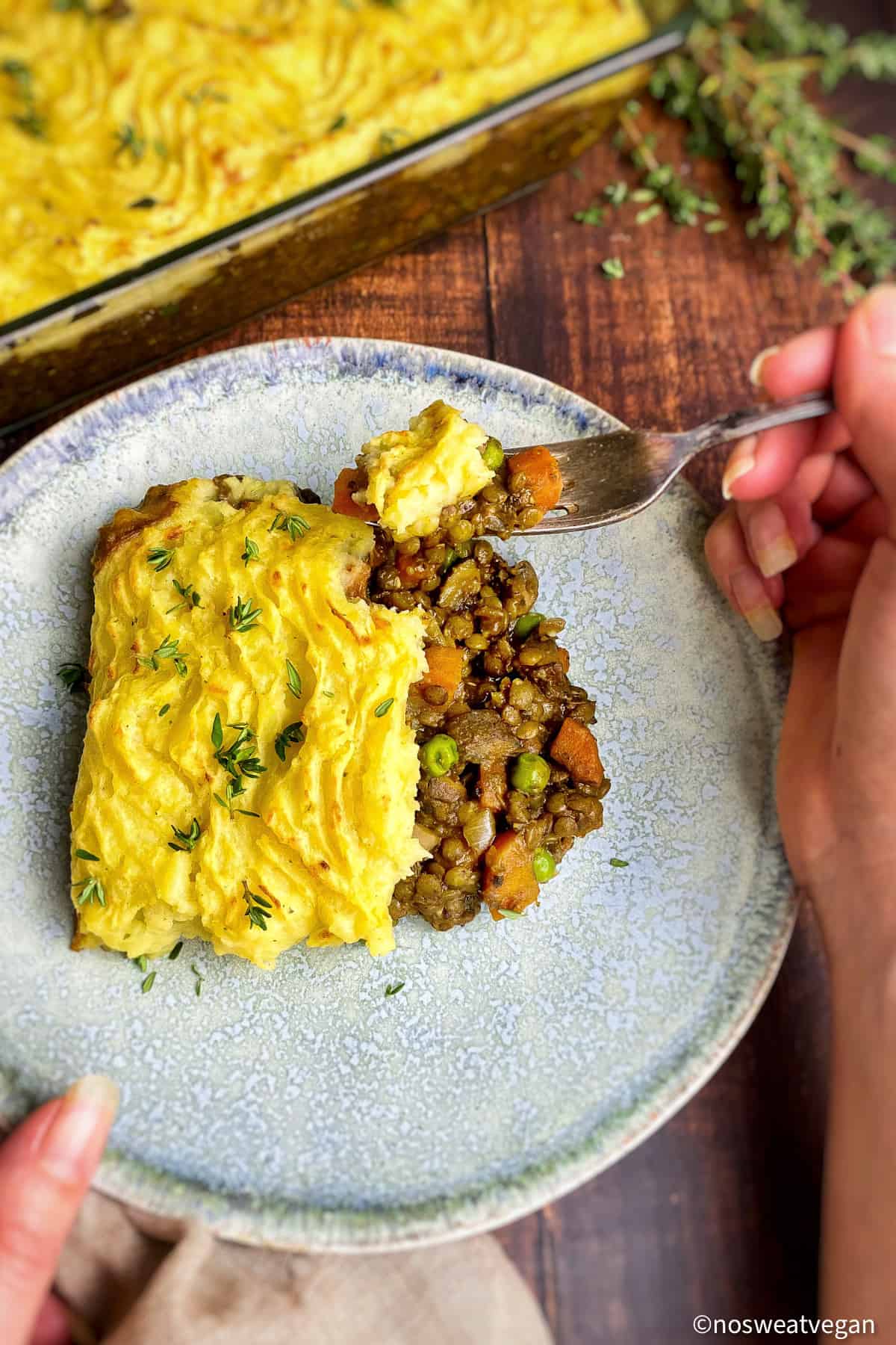 Hand holding a fork with a plate of lentil cottage pie.