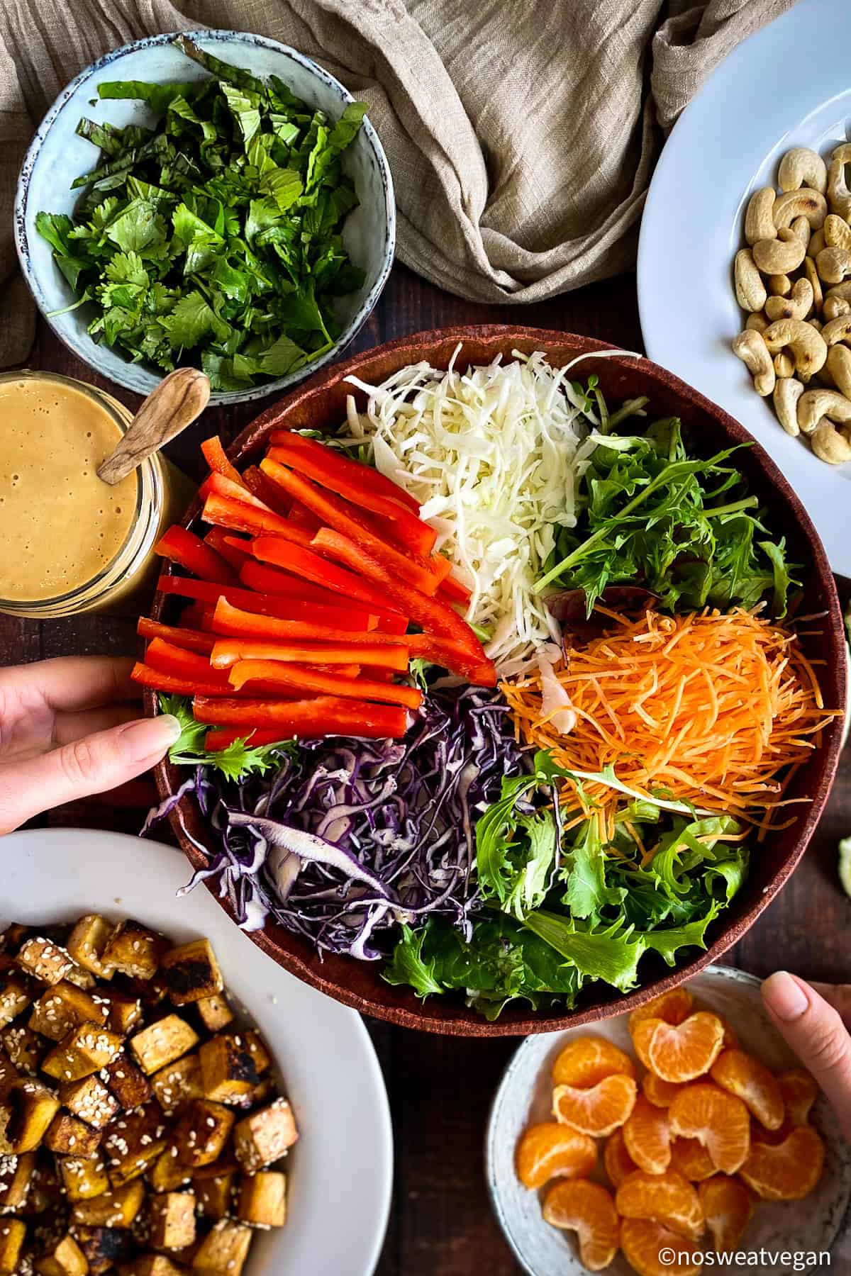 Thai salad right before assembling. Large bowl with cabbage, carrots, mixed greens, and bell peppers. Around the bowl are Asian salad dressing, sesame-crusted tofu, mandarin segments, cashews, and cilantro.
