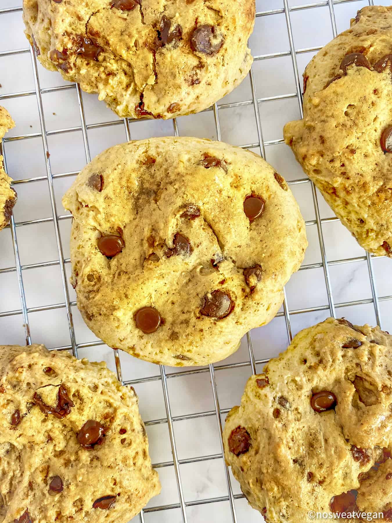 Vegan Chocolate Chip Cookies on the drying rack.