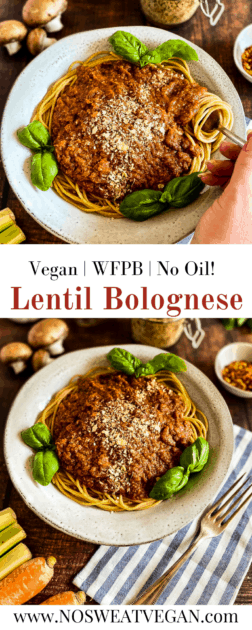 Vegan Bolognese Pin.