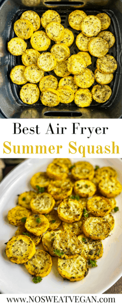 Air fryer summer squash pin.