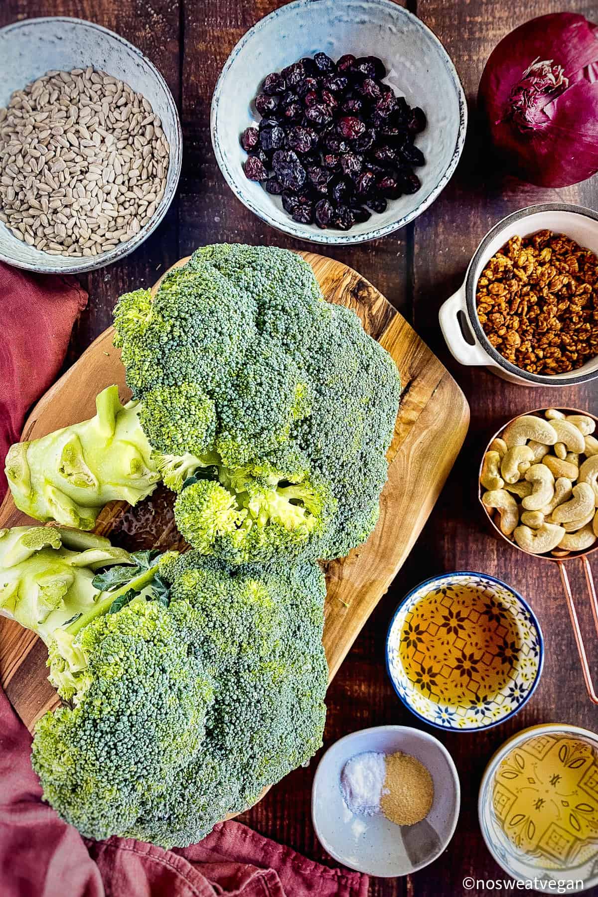 Broccoli salad ingredients: broccoli, onion, sunflower seeds, craisins, vegan bacon bits, cashewsm apple cider vinegar, maple syrup, and spices.