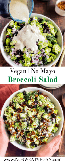 Vegan Broccoli Salad pin.