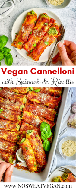 Vegan Cannelloni pin.