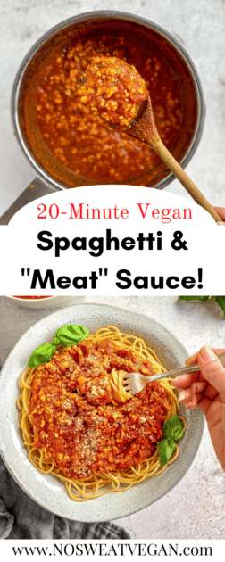 Vegan spaghetti and meat sauce pin.