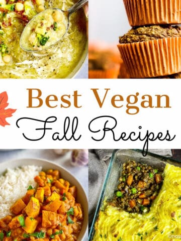 Fall recipes vegan.