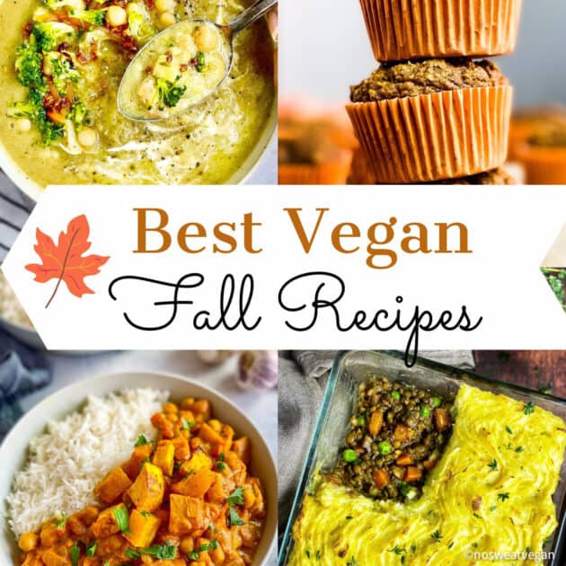 Fall recipes vegan.