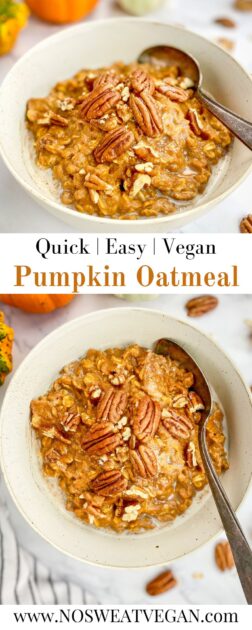 Vegan pumpkin oatmeal pin.