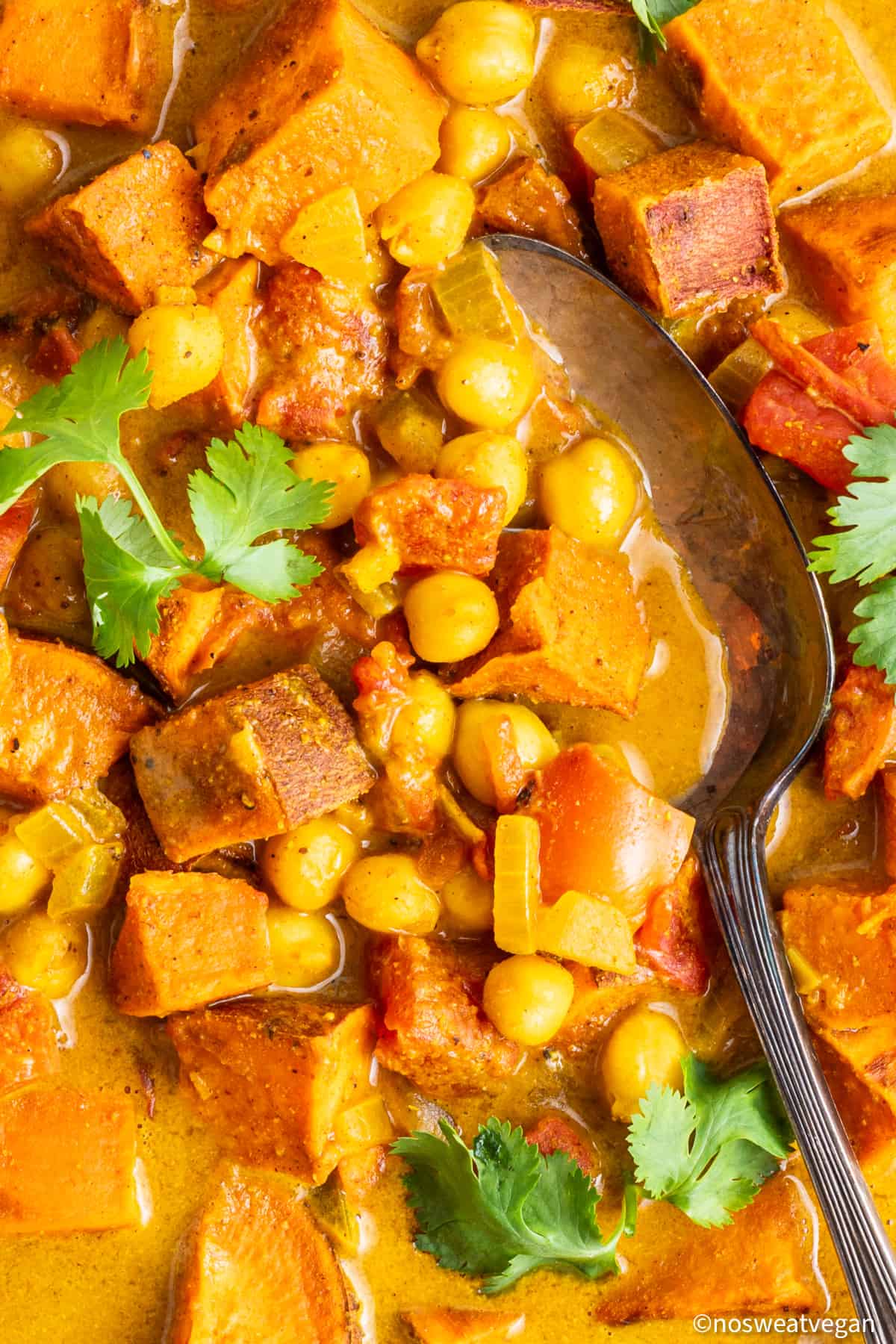 Closeup of sweet potato and chickpea curry.