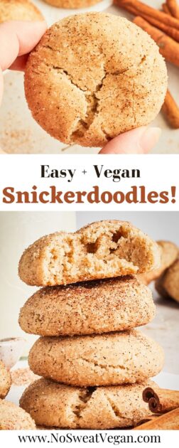 Vegan snickerdoodles pin.