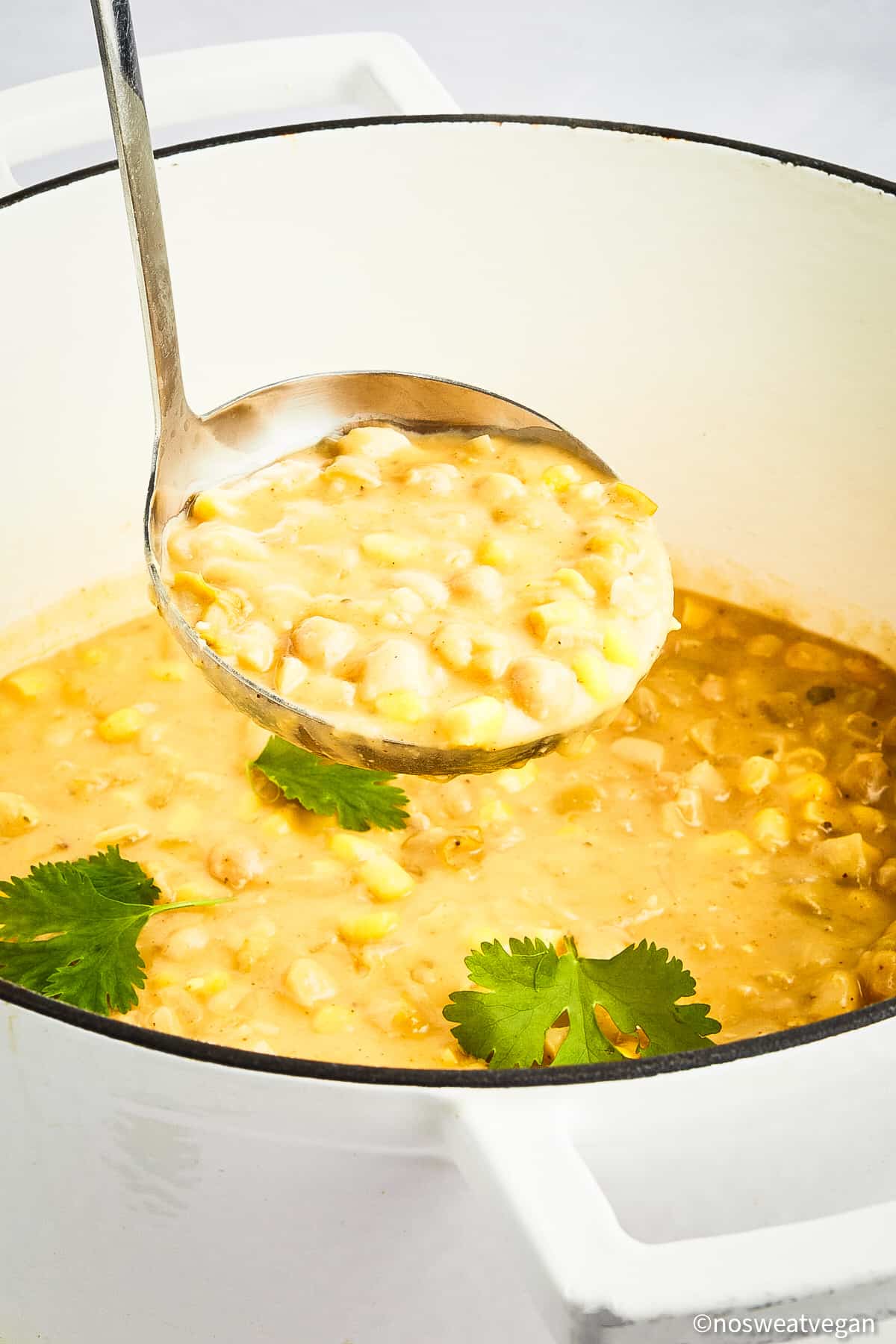 Ladle lifting a spoonful of white bean chickpea chili from a pot.