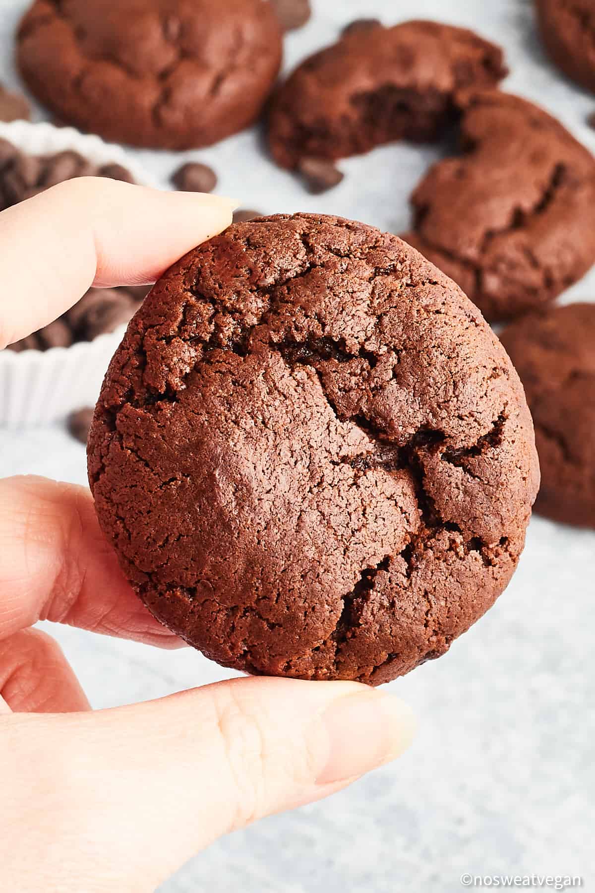 Hand holding up a vegan double chocolate chip cookie.