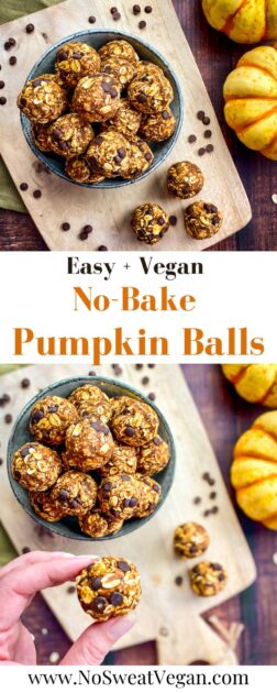 No-bake pumpkin balls pin.